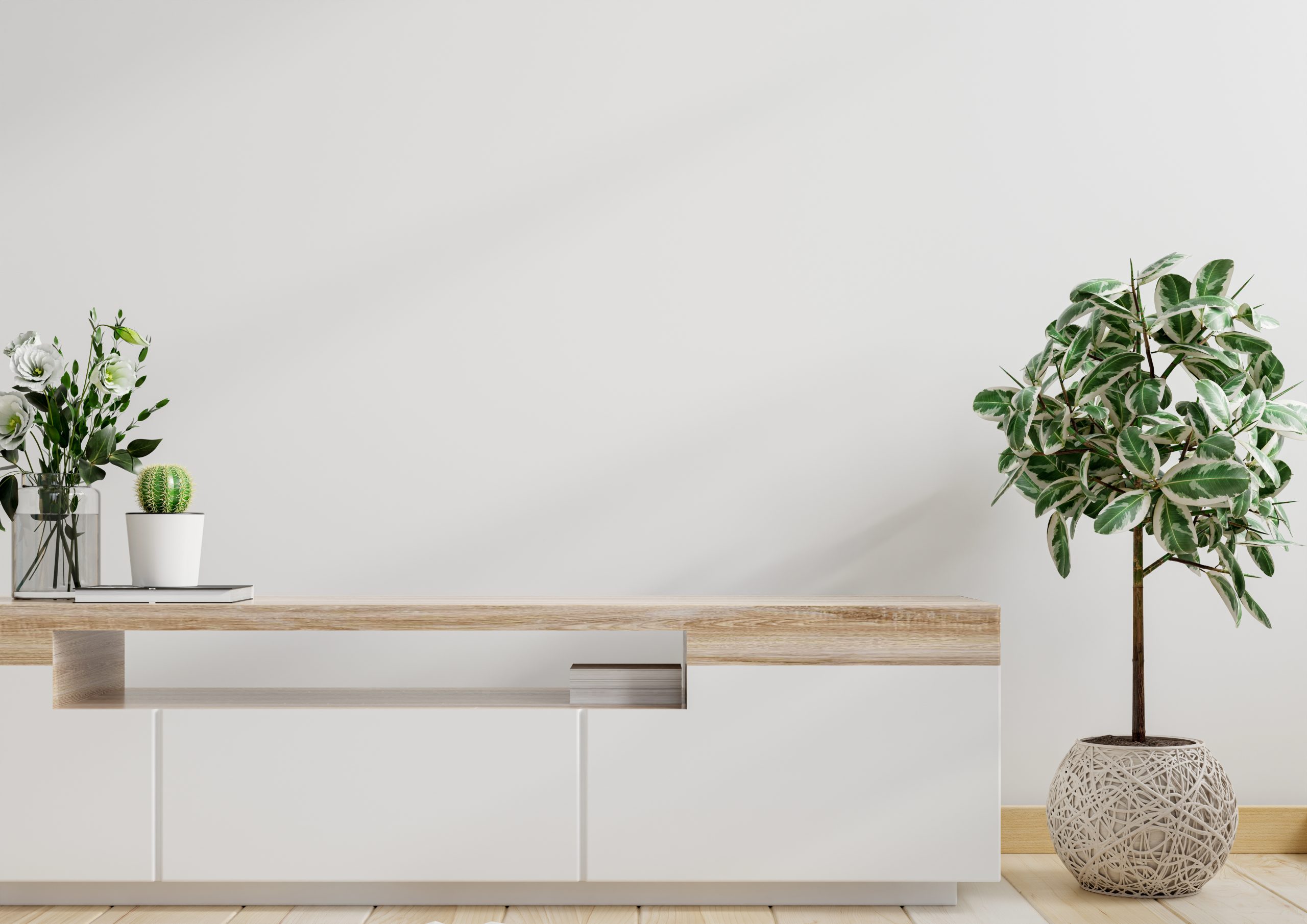 Mockup white wall with ornamental plants and decoration item on cabinet. Mockup white wall with ornamental plants and decoration item on cabinet ,3d rendering